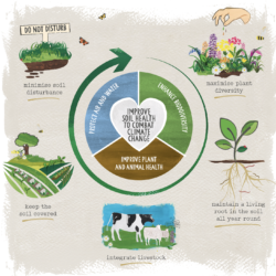 regenerative farming cycle