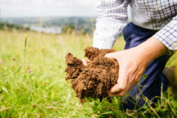 Yeo Valley Organic soil facts