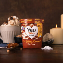 Yeo Valley Organic, Salted Caramel Ice Cream