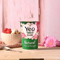 Yeo Valley Organic Natural Yogurt