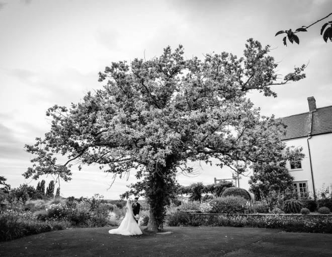 Married couple under a tree in the Yeo Valley Organic Garden