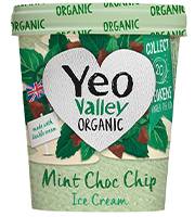 Yeo Valley Organic Mint Choc Chip Ice Cream