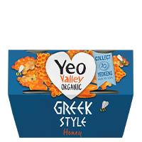 Yeo Valley Organic Greek Style Honey yogurt