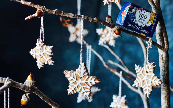 Yeo Valley Organic festive biscuits
