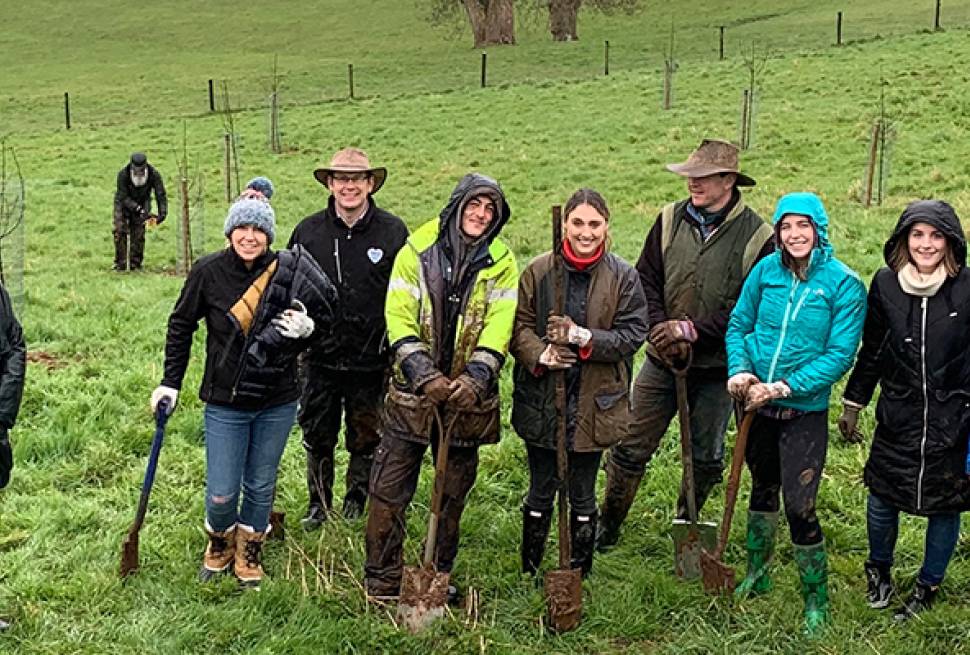 Staff from Yeo Valley planted an organic orchard