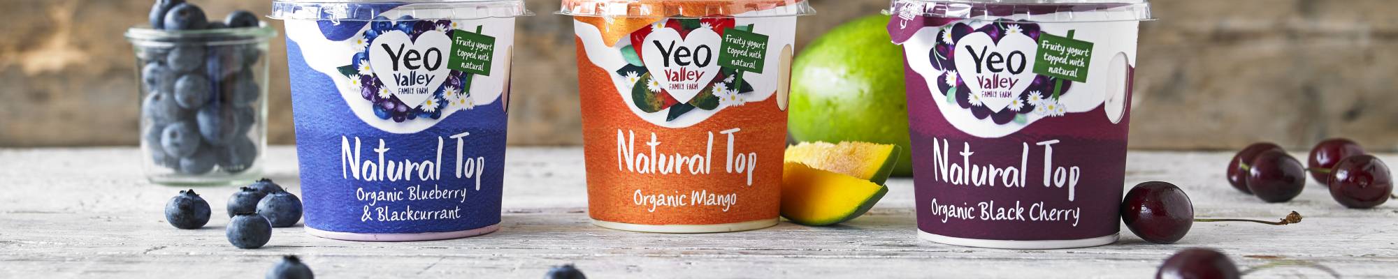 yeo valley organic yogurt natural top range