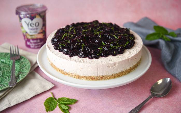 Yeo Valley Organic Blackcurrant yogurt Cheesecake