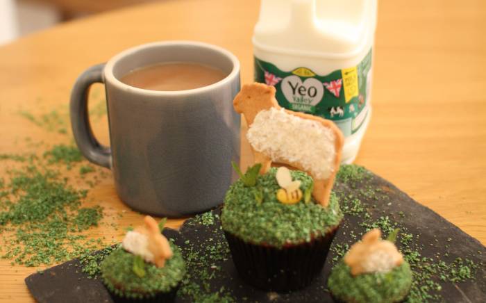 Yeo Valley Organic Countryside Cupcakes Recipe