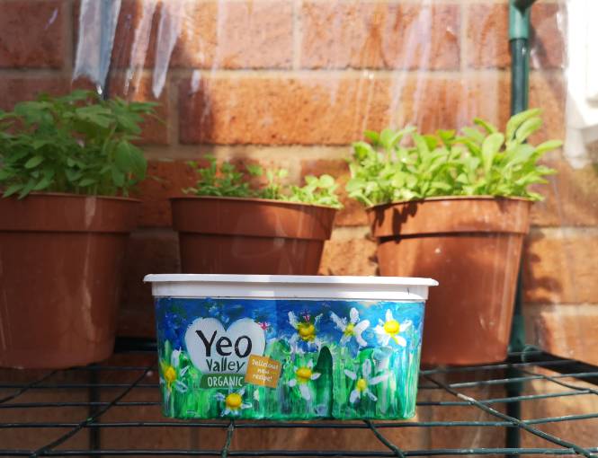 Make a wildflower garden from your empty Yeo Valley organic butter tub