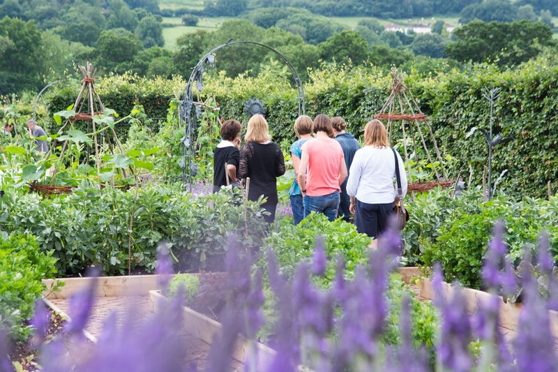 People walking through the organic gardens